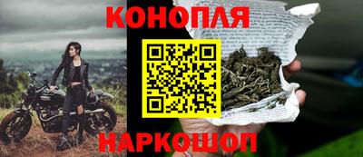 гашик Лесосибирск