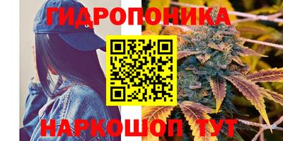 мескалин Ливны