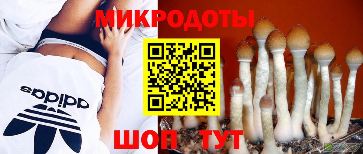 Галлюциногенные грибы ЛСД  Вход с VPN  Железногорск 