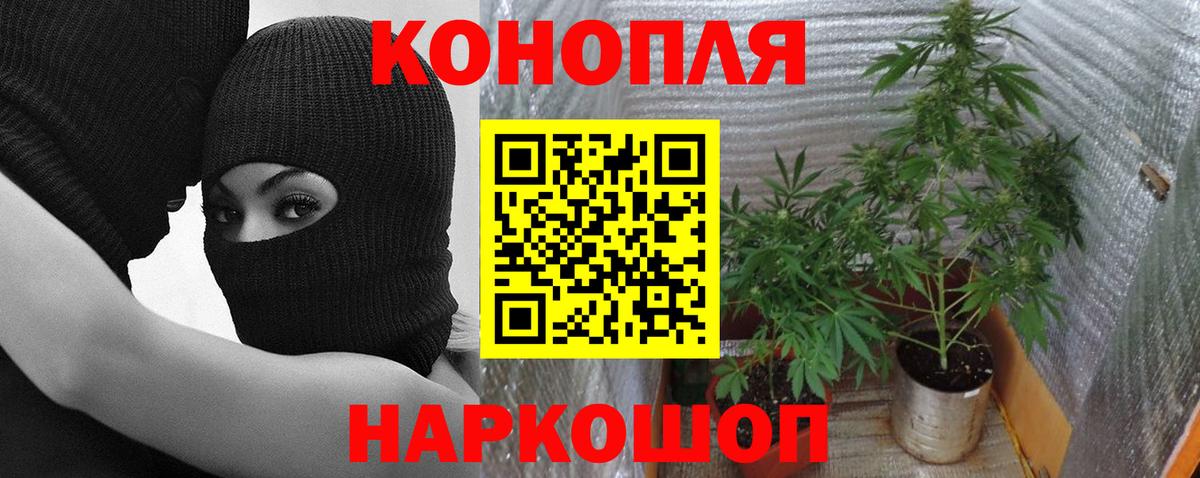 Бошки Шишки THC 21% Железногорск